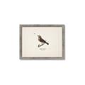 Picture of Wood Lark Bird _GroupedProduct_Rectangle_Landscape_Framed_Matted_