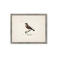 Picture of Wood Lark Bird _GroupedProduct_Rectangle_Landscape_Framed_Matted_