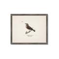 Picture of Wood Lark Bird _GroupedProduct_Rectangle_Landscape_Framed_Matted_