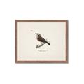 Picture of Wood Lark Bird _GroupedProduct_Rectangle_Landscape_Framed_Matted_