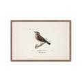 Picture of Wood Lark Bird _GroupedProduct_Rectangle_Landscape_Framed_Matted_