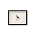 Picture of Wood Lark Bird _GroupedProduct_Rectangle_Landscape_Framed_Matted_
