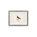 Picture of Wood Lark Bird _GroupedProduct_Rectangle_Landscape_Framed_Matted_