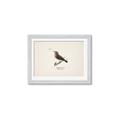 Picture of Wood Lark Bird _GroupedProduct_Rectangle_Landscape_Framed_Matted_