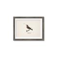 Picture of Wood Lark Bird _GroupedProduct_Rectangle_Landscape_Framed_Matted_