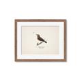 Picture of Wood Lark Bird _GroupedProduct_Rectangle_Landscape_Framed_Matted_