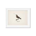 Picture of Wood Lark Bird _GroupedProduct_Rectangle_Landscape_Framed_Matted_