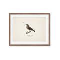 Picture of Wood Lark Bird _GroupedProduct_Rectangle_Landscape_Framed_Matted_