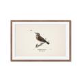 Picture of Wood Lark Bird _GroupedProduct_Rectangle_Landscape_Framed_Matted_