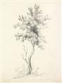 Picture of Tall Tree II _GroupedProduct_Rectangle_Portrait_Unframed_Print_Only_