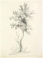 Picture of Tall Tree II _GroupedProduct_Rectangle_Portrait_Unframed_Print_Only_
