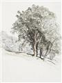 Picture of Trees on a Hill _GroupedProduct_Rectangle_Portrait_Unframed_Print_Only_