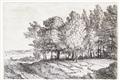 Picture of Windy Trees _GroupedProduct_Rectangle_Landscape_Unframed_Print_Only_