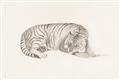 Picture of Tiger Time _GroupedProduct_Rectangle_Landscape_Unframed_Print_Only_