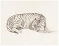 Picture of Tiger Time _GroupedProduct_Rectangle_Landscape_Unframed_Print_Only_