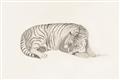 Picture of Tiger Time _GroupedProduct_Rectangle_Landscape_Unframed_Print_Only_