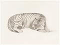 Picture of Tiger Time _GroupedProduct_Rectangle_Landscape_Unframed_Print_Only_