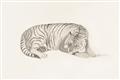 Picture of Tiger Time _GroupedProduct_Rectangle_Landscape_Unframed_Print_Only_