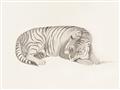 Picture of Tiger Time _GroupedProduct_Rectangle_Landscape_Unframed_Print_Only_
