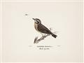 Picture of Wood Lark Bird _GroupedProduct_Rectangle_Landscape_Unframed_Print_Only_
