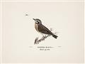 Picture of Wood Lark Bird _GroupedProduct_Rectangle_Landscape_Unframed_Print_Only_