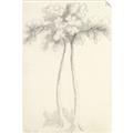 Picture of Tall Tree I _GroupedProduct_Rectangle_Portrait_Unframed_Print_Only_