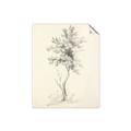 Picture of Tall Tree II _GroupedProduct_Rectangle_Portrait_Unframed_Print_Only_
