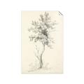 Picture of Tall Tree II _GroupedProduct_Rectangle_Portrait_Unframed_Print_Only_