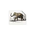 Picture of Indian Elephant _GroupedProduct_Rectangle_Landscape_Unframed_Print_Only_