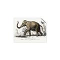 Picture of Indian Elephant _GroupedProduct_Rectangle_Landscape_Unframed_Print_Only_