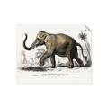 Picture of Indian Elephant _GroupedProduct_Rectangle_Landscape_Unframed_Print_Only_