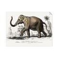 Picture of Indian Elephant _GroupedProduct_Rectangle_Landscape_Unframed_Print_Only_