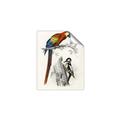 Picture of Feathered Friends _GroupedProduct_Rectangle_Portrait_Unframed_Print_Only_