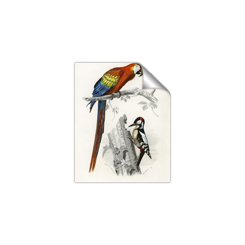 Picture of Feathered Friends _GroupedProduct_Rectangle_Portrait_Unframed_Print_Only_