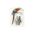 Picture of Feathered Friends _GroupedProduct_Rectangle_Portrait_Unframed_Print_Only_