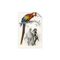 Picture of Feathered Friends _GroupedProduct_Rectangle_Portrait_Unframed_Print_Only_