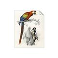 Picture of Feathered Friends _GroupedProduct_Rectangle_Portrait_Unframed_Print_Only_