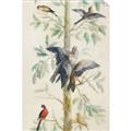 Picture of Six Birds _GroupedProduct_Rectangle_Portrait_Unframed_Print_Only_