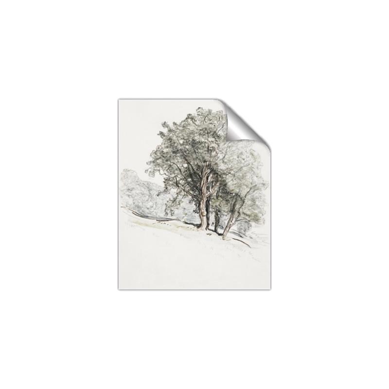 Picture of Trees on a Hill _GroupedProduct_Rectangle_Portrait_Unframed_Print_Only_