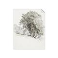 Picture of Trees on a Hill _GroupedProduct_Rectangle_Portrait_Unframed_Print_Only_