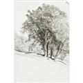Picture of Trees on a Hill _GroupedProduct_Rectangle_Portrait_Unframed_Print_Only_