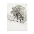 Picture of Trees on a Hill _GroupedProduct_Rectangle_Portrait_Unframed_Print_Only_