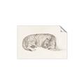 Picture of Tiger Time _GroupedProduct_Rectangle_Landscape_Unframed_Print_Only_