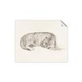 Picture of Tiger Time _GroupedProduct_Rectangle_Landscape_Unframed_Print_Only_