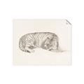 Picture of Tiger Time _GroupedProduct_Rectangle_Landscape_Unframed_Print_Only_