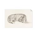 Picture of Tiger Time _GroupedProduct_Rectangle_Landscape_Unframed_Print_Only_