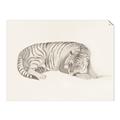Picture of Tiger Time _GroupedProduct_Rectangle_Landscape_Unframed_Print_Only_