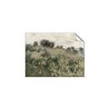 Picture of Silent Still _GroupedProduct_Rectangle_Landscape_Unframed_Print_Only_