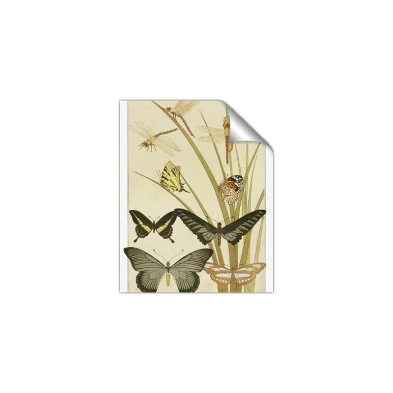 Picture of kaleidoscope _GroupedProduct_Rectangle_Portrait_Unframed_Print_Only_