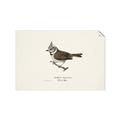 Picture of Parus _GroupedProduct_Rectangle_Landscape_Unframed_Print_Only_